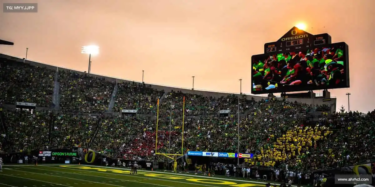 <strong>ued官网</strong>用汗水书写青春，用热爱奔赴山海！🌊🏃